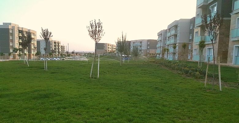 lorem ipsum dolor sit